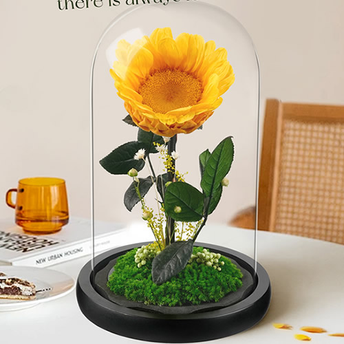 永生花：小王子 向日葵